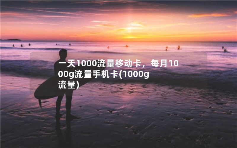 一天1000流量移动卡，每月1000g流量手机卡(1000g 流量)