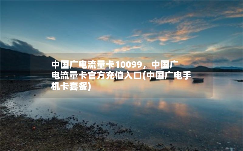 中国广电流量卡10099，中国广电流量卡官方充值入口(中国广电手机卡套餐)