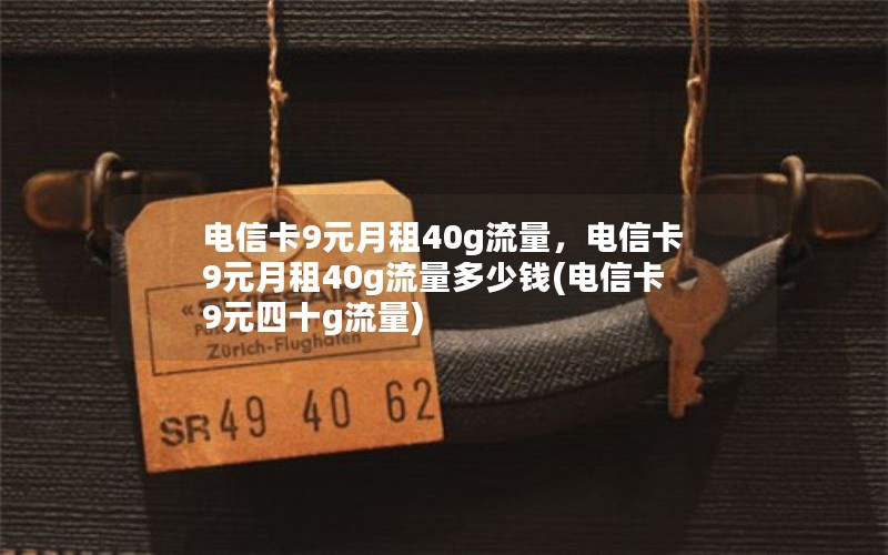 电信卡9元月租40g流量，电信卡9元月租40g流量多少钱(电信卡9元四十g流量)