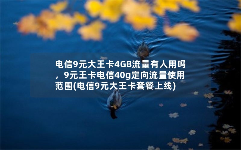 电信9元大王卡4GB流量有人用吗，9元王卡电信40g定向流量使用范围(电信9元大王卡套餐上线)