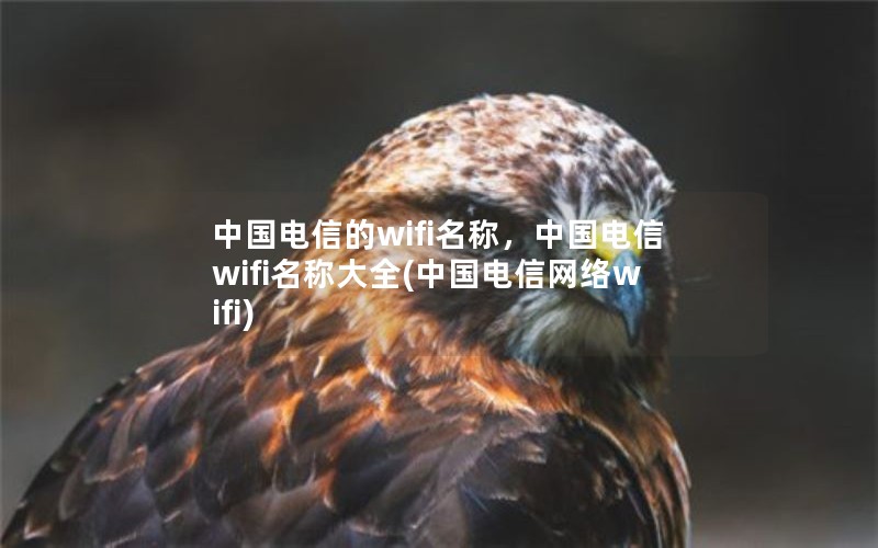 中国电信的wifi名称，中国电信wifi名称大全(中国电信网络wifi)