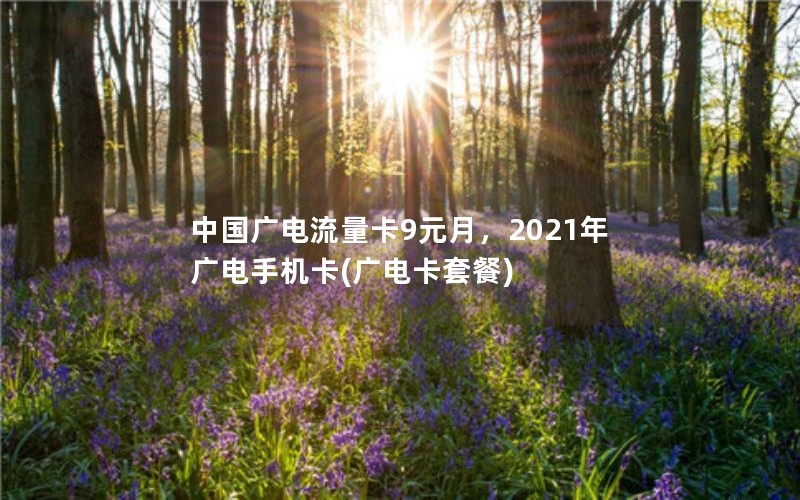 中国广电流量卡9元月，2021年广电手机卡(广电卡套餐)