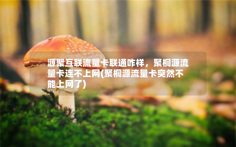 源聚互联流量卡联通咋样，聚桐源流量卡连不上网(聚桐源流量卡突然不能上网了)