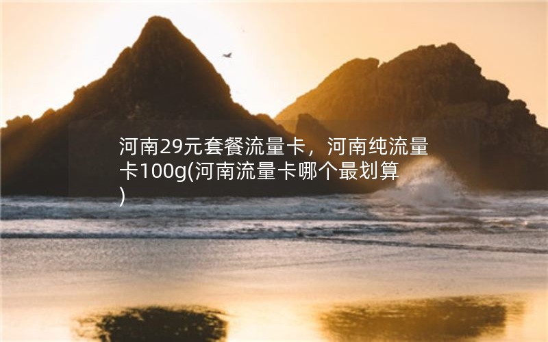 河南29元套餐流量卡，河南纯流量卡100g(河南流量卡哪个最划算)