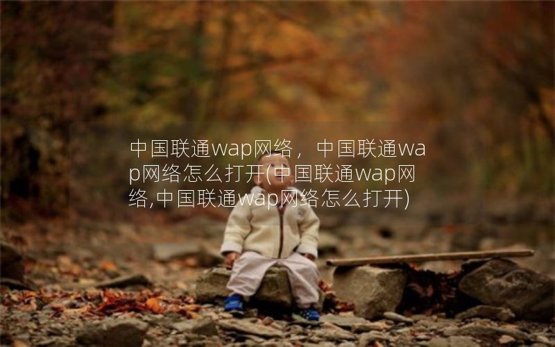 中国联通wap网络，中国联通wap网络怎么打开(中国联通wap网络,中国联通wap网络怎么打开)