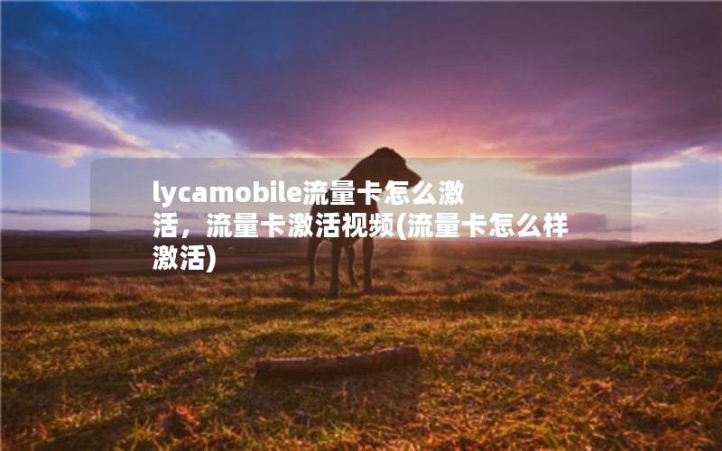 lycamobile流量卡怎么激活，流量卡激活视频(流量卡怎么样激活)