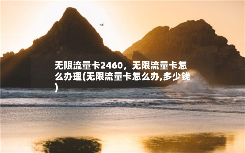 无限流量卡2460，无限流量卡怎么办理(无限流量卡怎么办,多少钱)