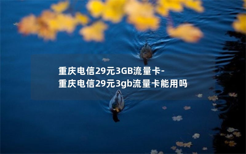 重庆电信29元3GB流量卡-重庆电信29元3gb流量卡能用吗