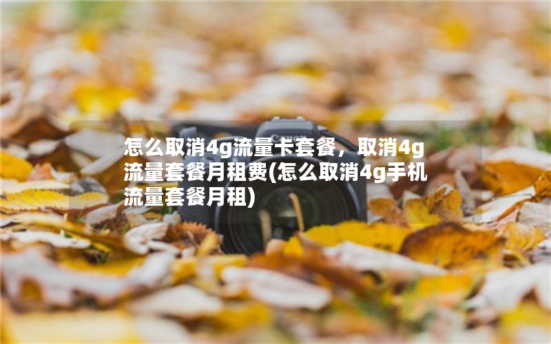 怎么取消4g流量卡套餐，取消4g流量套餐月租费(怎么取消4g手机流量套餐月租)