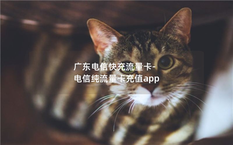 广东电信快充流量卡-电信纯流量卡充值app