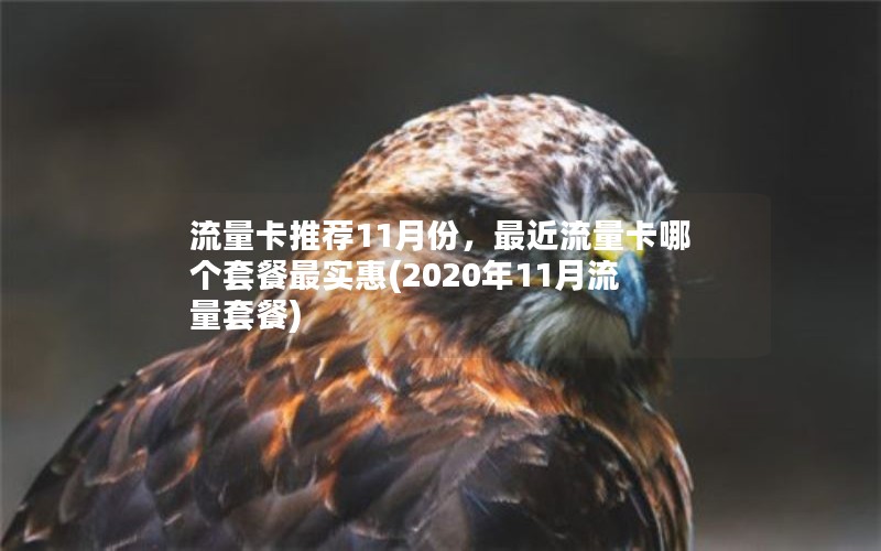 流量卡推荐11月份，最近流量卡哪个套餐最实惠(2020年11月流量套餐)