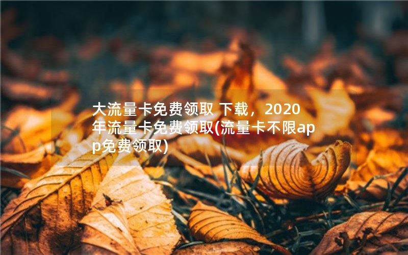 大流量卡免费领取 下载，2020年流量卡免费领取(流量卡不限app免费领取)