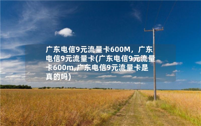 广东电信9元流量卡600M，广东电信9元流量卡(广东电信9元流量卡600m,广东电信9元流量卡是真的吗)