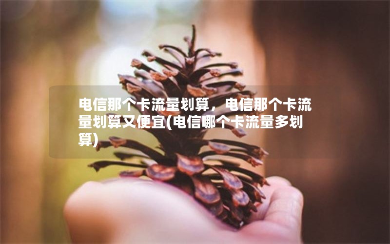 电信那个卡流量划算，电信那个卡流量划算又便宜(电信哪个卡流量多划算)