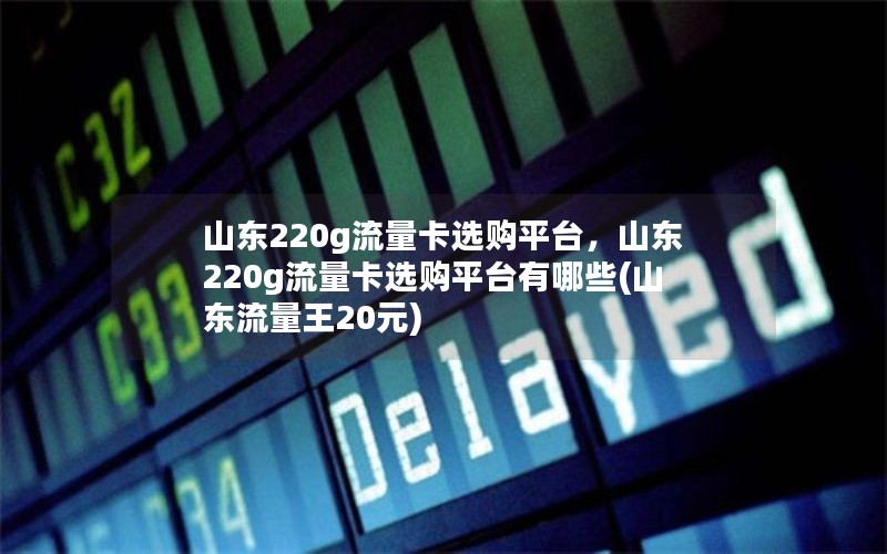 山东220g流量卡选购平台，山东220g流量卡选购平台有哪些(山东流量王20元)