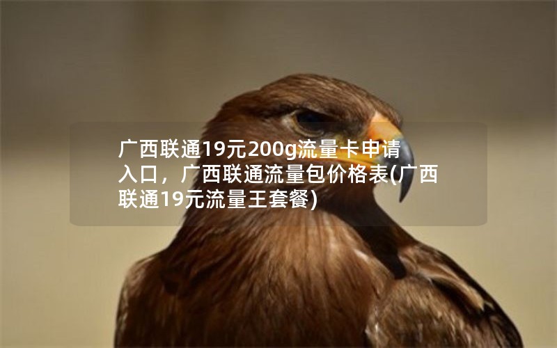 广西联通19元200g流量卡申请入口，广西联通流量包价格表(广西联通19元流量王套餐)