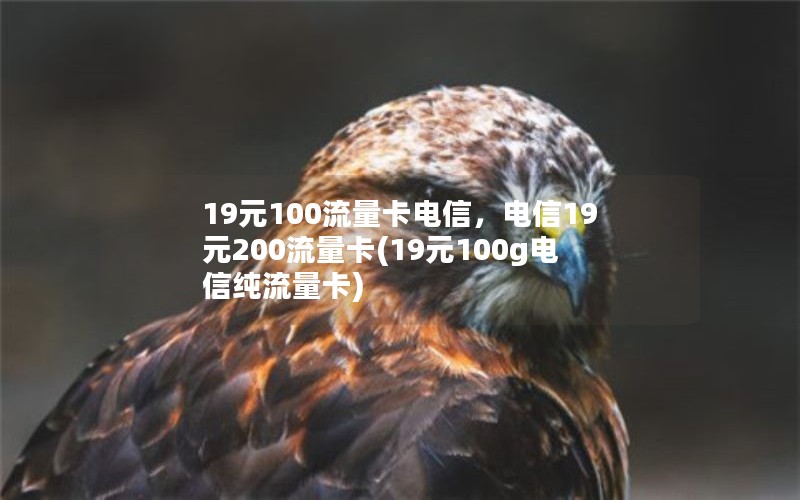 19元100流量卡电信，电信19元200流量卡(19元100g电信纯流量卡)