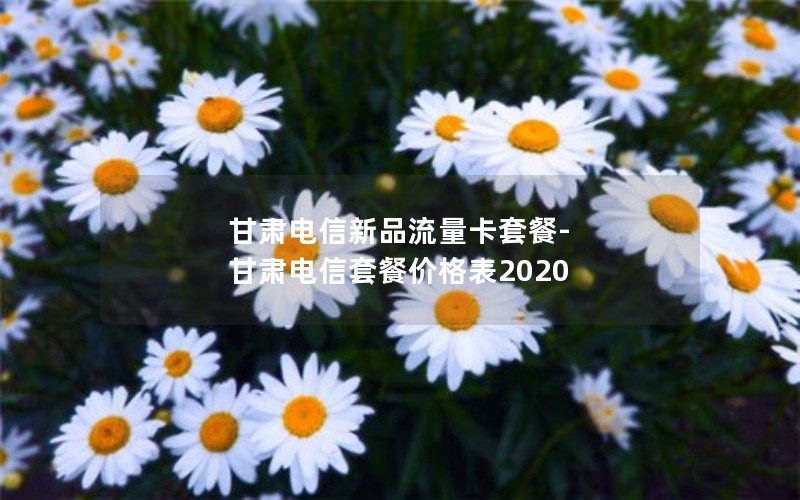 甘肃电信新品流量卡套餐-甘肃电信套餐价格表2020