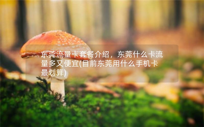 东莞流量卡套餐介绍，东莞什么卡流量多又便宜(目前东莞用什么手机卡最划算)