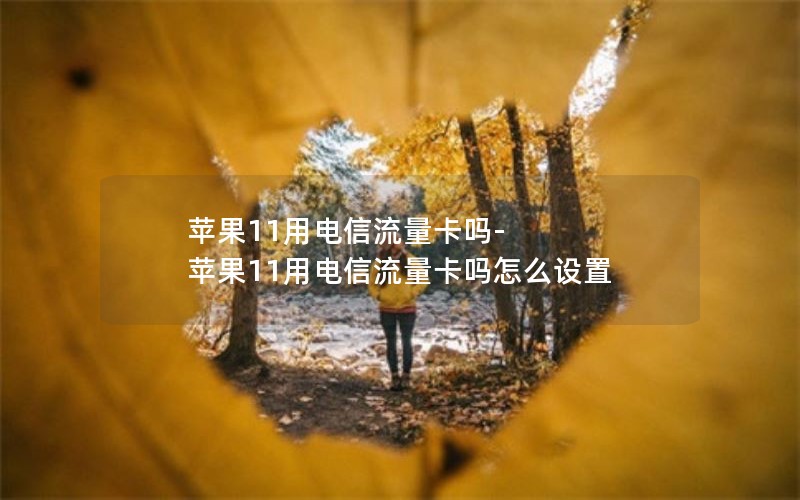 苹果11用电信流量卡吗-苹果11用电信流量卡吗怎么设置