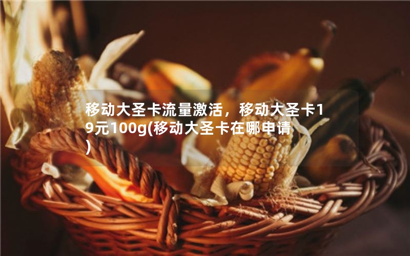 移动大圣卡流量激活，移动大圣卡19元100g(移动大圣卡在哪申请)