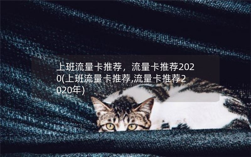 上班流量卡推荐，流量卡推荐2020(上班流量卡推荐,流量卡推荐2020年)