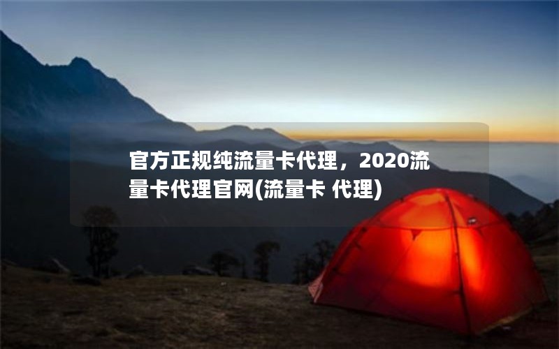 官方正规纯流量卡代理，2020流量卡代理官网(流量卡 代理)