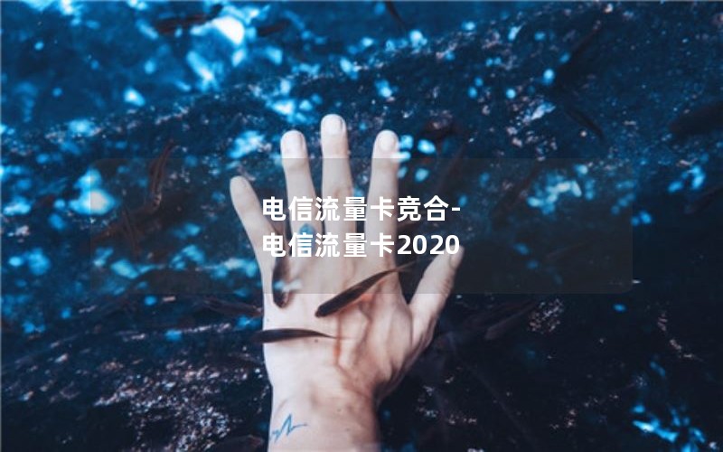 电信流量卡竞合-电信流量卡2020