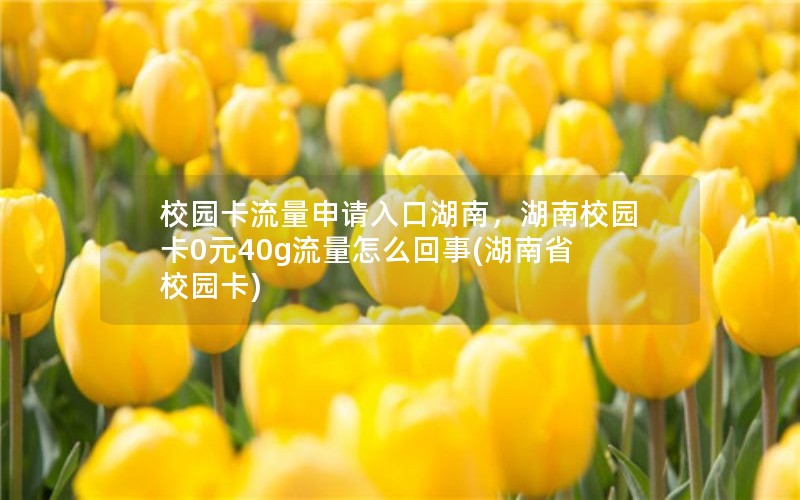 校园卡流量申请入口湖南，湖南校园卡0元40g流量怎么回事(湖南省校园卡)