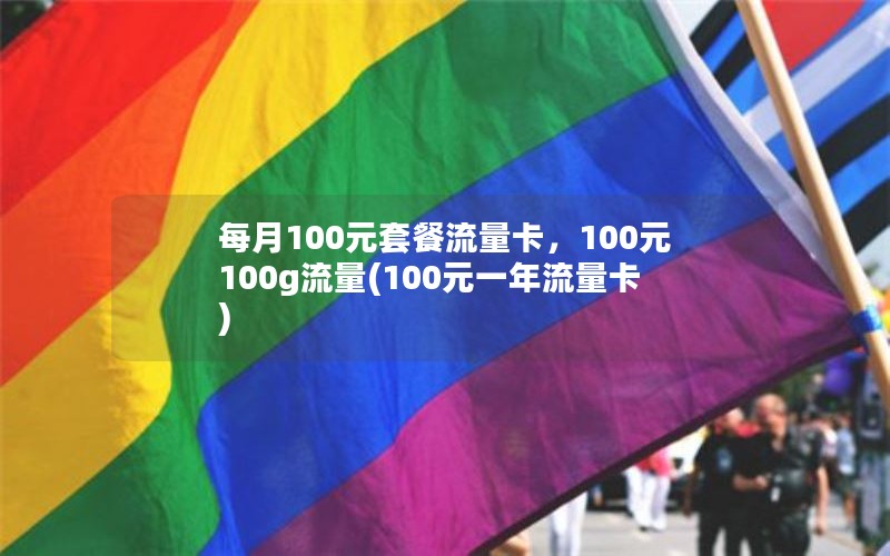 每月100元套餐流量卡，100元100g流量(100元一年流量卡)