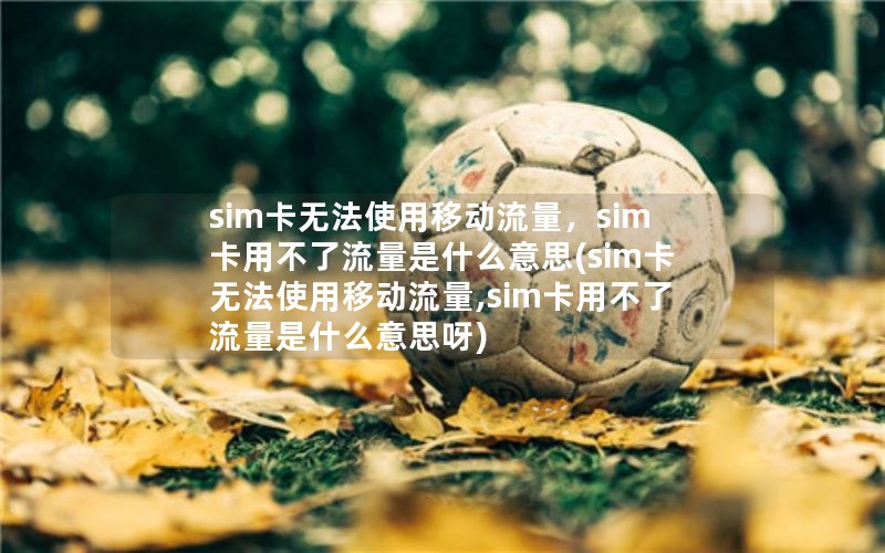 sim卡无法使用移动流量，sim卡用不了流量是什么意思(sim卡无法使用移动流量,sim卡用不了流量是什么意思呀)