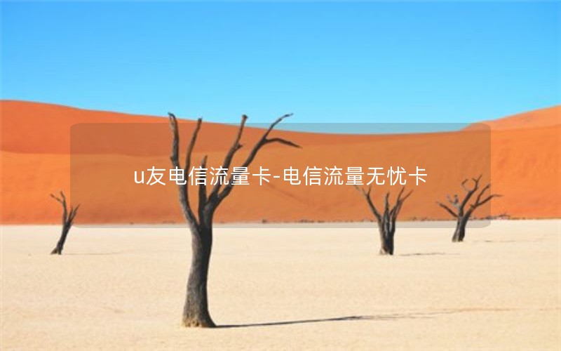 u友电信流量卡-电信流量无忧卡