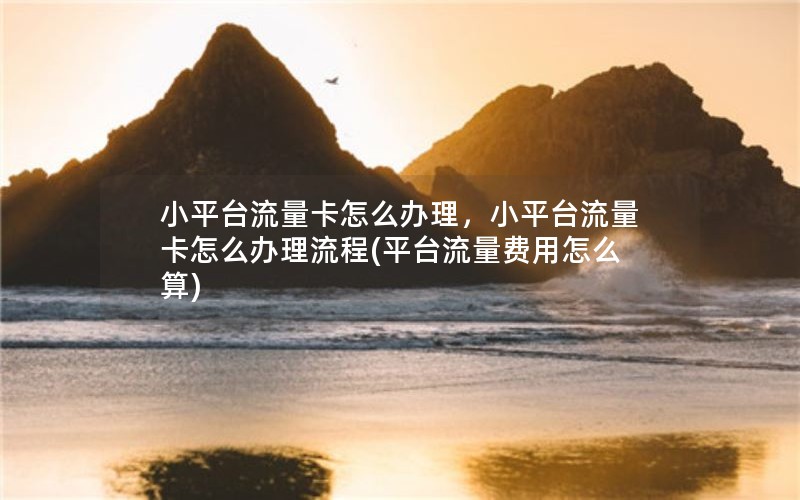 小平台流量卡怎么办理，小平台流量卡怎么办理流程(平台流量费用怎么算)