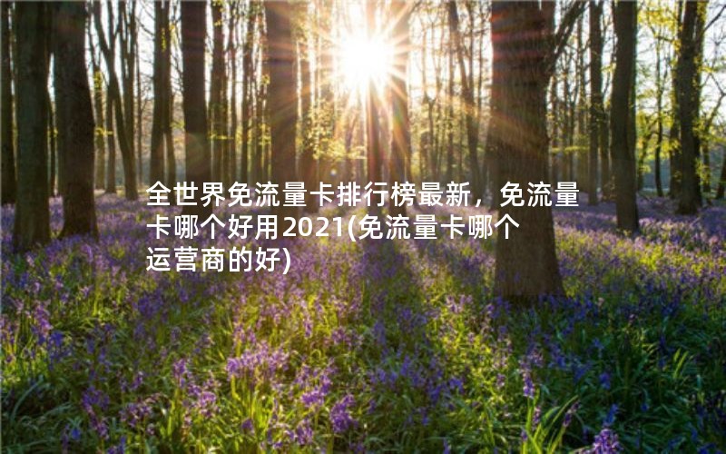 全世界免流量卡排行榜最新，免流量卡哪个好用2021(免流量卡哪个运营商的好)