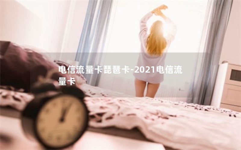 电信流量卡琵琶卡-2021电信流量卡