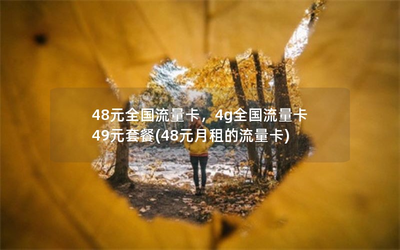 48元全国流量卡，4g全国流量卡49元套餐(48元月租的流量卡)