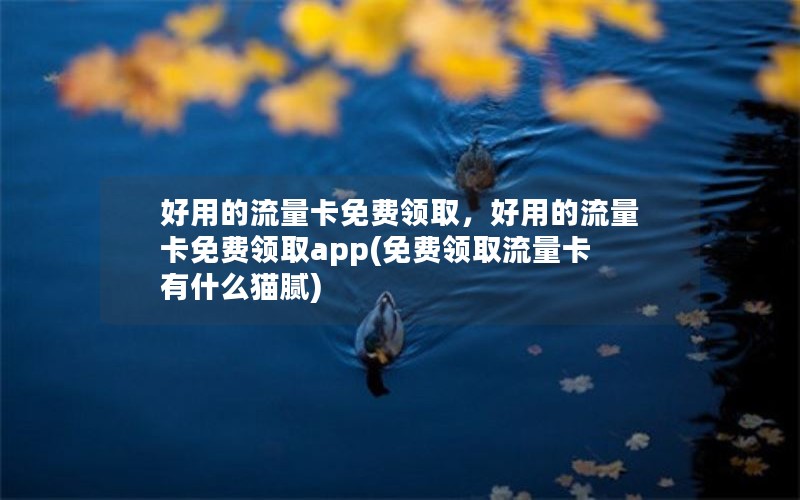 好用的流量卡免费领取，好用的流量卡免费领取app(免费领取流量卡有什么猫腻)