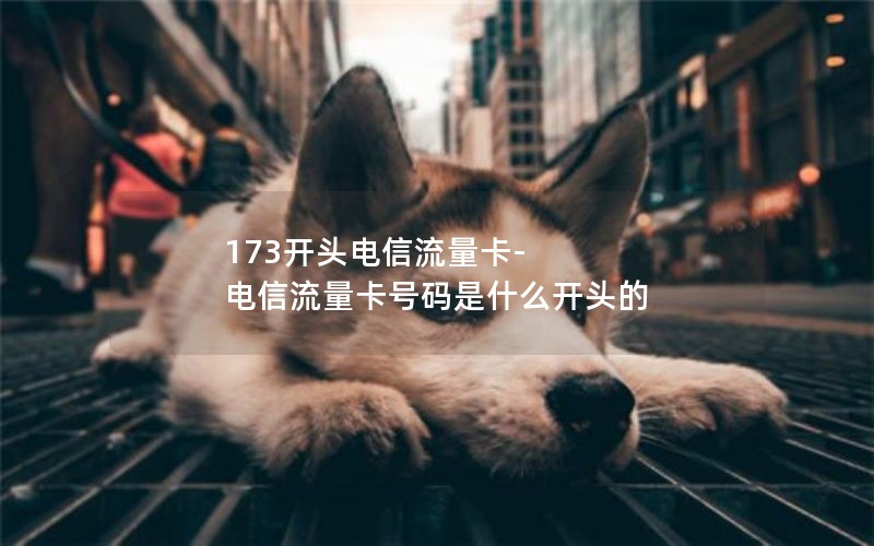 173开头电信流量卡-电信流量卡号码是什么开头的