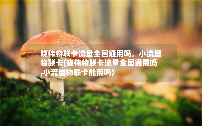 晓伟物联卡流量全国通用吗，小流量物联卡(晓伟物联卡流量全国通用吗,小流量物联卡能用吗)