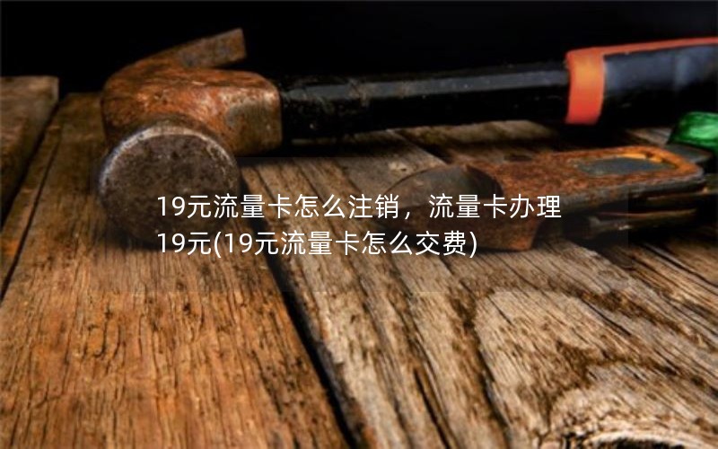 19元流量卡怎么注销，流量卡办理 19元(19元流量卡怎么交费)