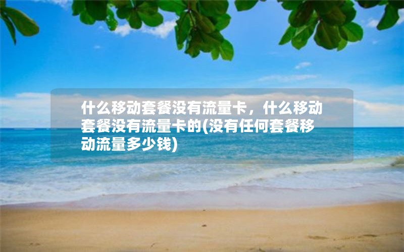 什么移动套餐没有流量卡，什么移动套餐没有流量卡的(没有任何套餐移动流量多少钱)