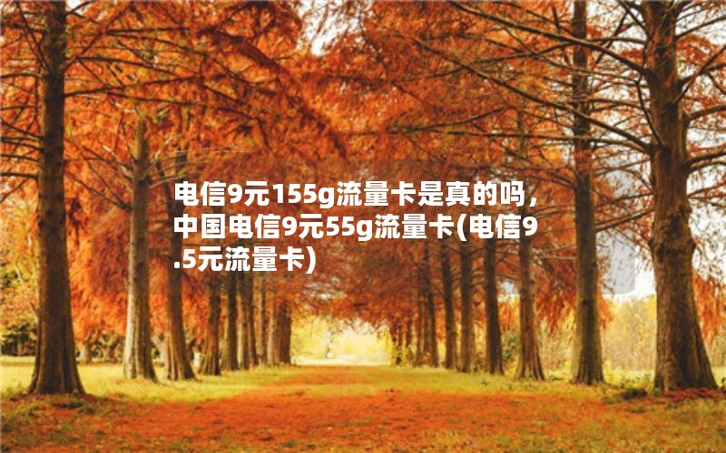 电信9元155g流量卡是真的吗，中国电信9元55g流量卡(电信9.5元流量卡)