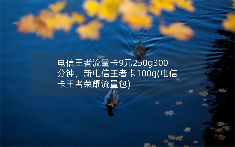 电信王者流量卡9元250g300分钟，新电信王者卡100g(电信卡王者荣耀流量包)