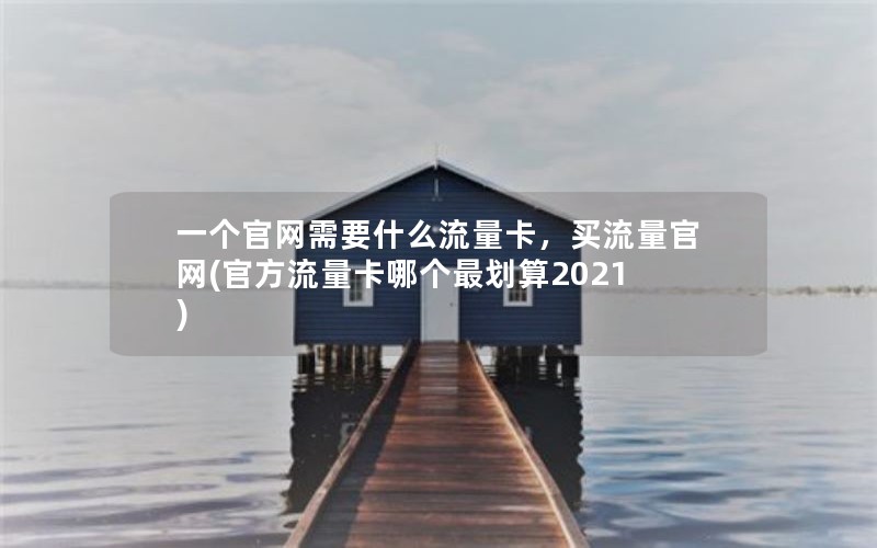 一个官网需要什么流量卡，买流量官网(官方流量卡哪个最划算2021)