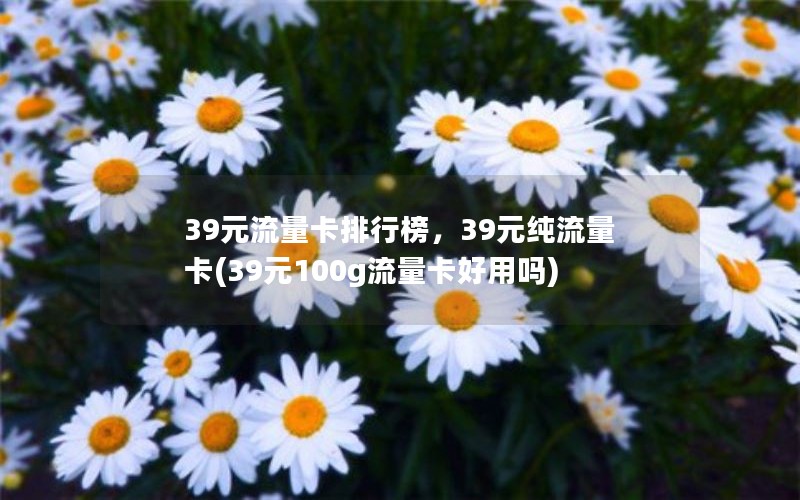 39元流量卡排行榜，39元纯流量卡(39元100g流量卡好用吗)