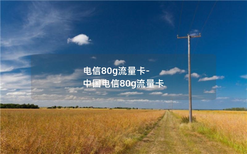 电信80g流量卡-中国电信80g流量卡