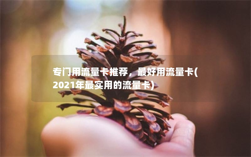 专门用流量卡推荐，最好用流量卡(2021年最实用的流量卡)