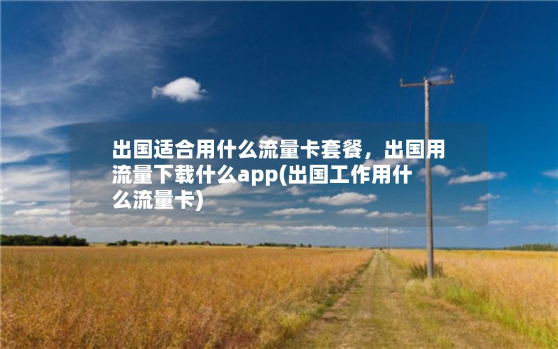 出国适合用什么流量卡套餐，出国用流量下载什么app(出国工作用什么流量卡)