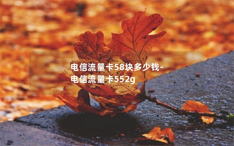 电信流量卡58块多少钱-电信流量卡552g