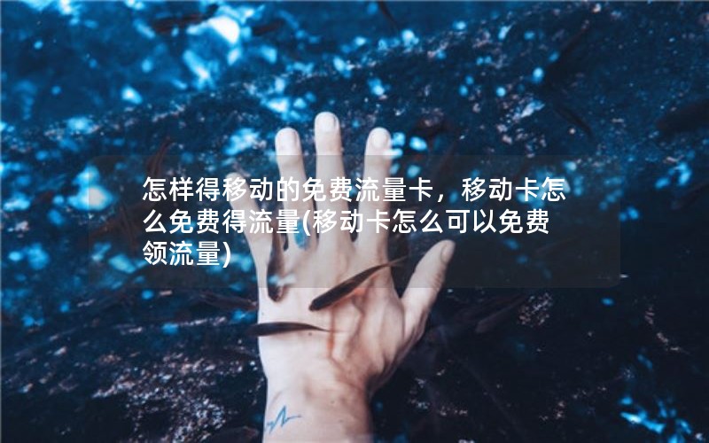 怎样得移动的免费流量卡，移动卡怎么免费得流量(移动卡怎么可以免费领流量)